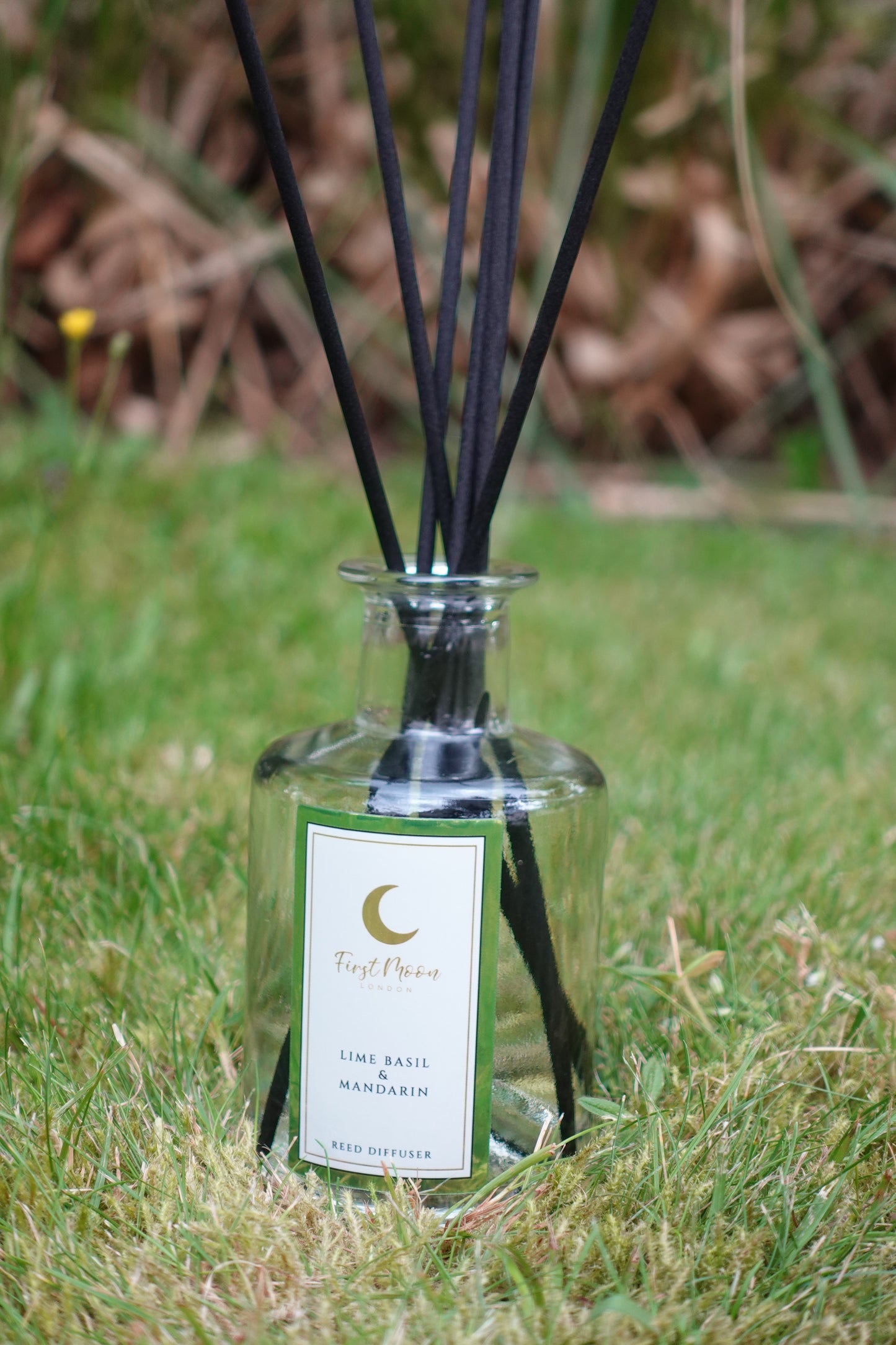 Lime Basil & Mandarin
